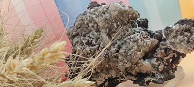 راف کوآرتز