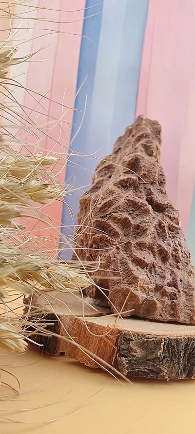 سنگ راف مرجان