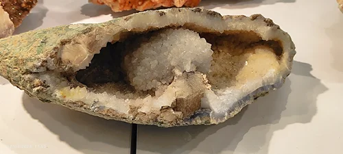 راف ژئوددارخاص